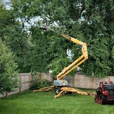 Lawn Watering Services in Spring Hill, FL